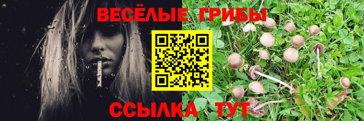 Галлюциногенные грибы прущие грибы Джанкой