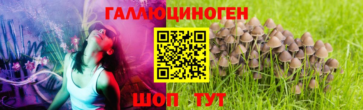 Джанкой  Псилоцибиновые грибы MAGIC MUSHROOMS  Галлюциногенные грибы Cubensis  Вход с VPN 